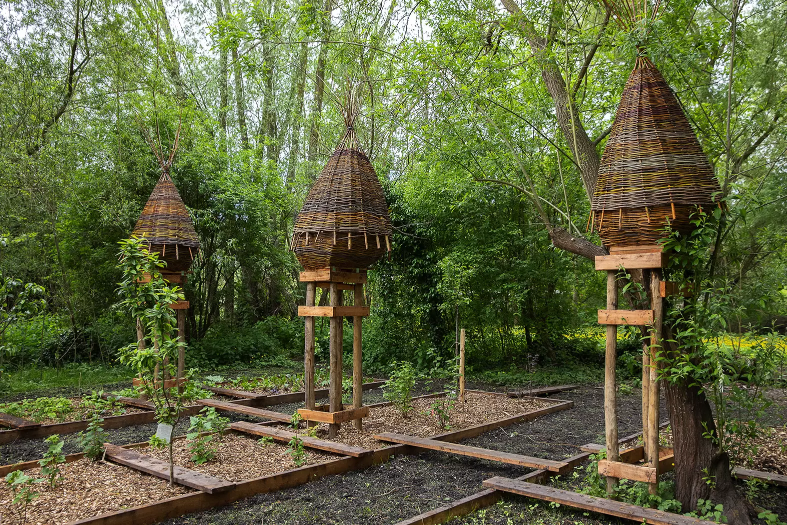 Une promenade onirique dans les hortillonnages d’Amiens | 3 kilomètres à la rondeLes paysagistes Alix Eoche-Duval et Cyril Servettaz | Françoise Blind-Kempinski - Directrice éditoriale et réalisatrice (journaliste Les Echos)