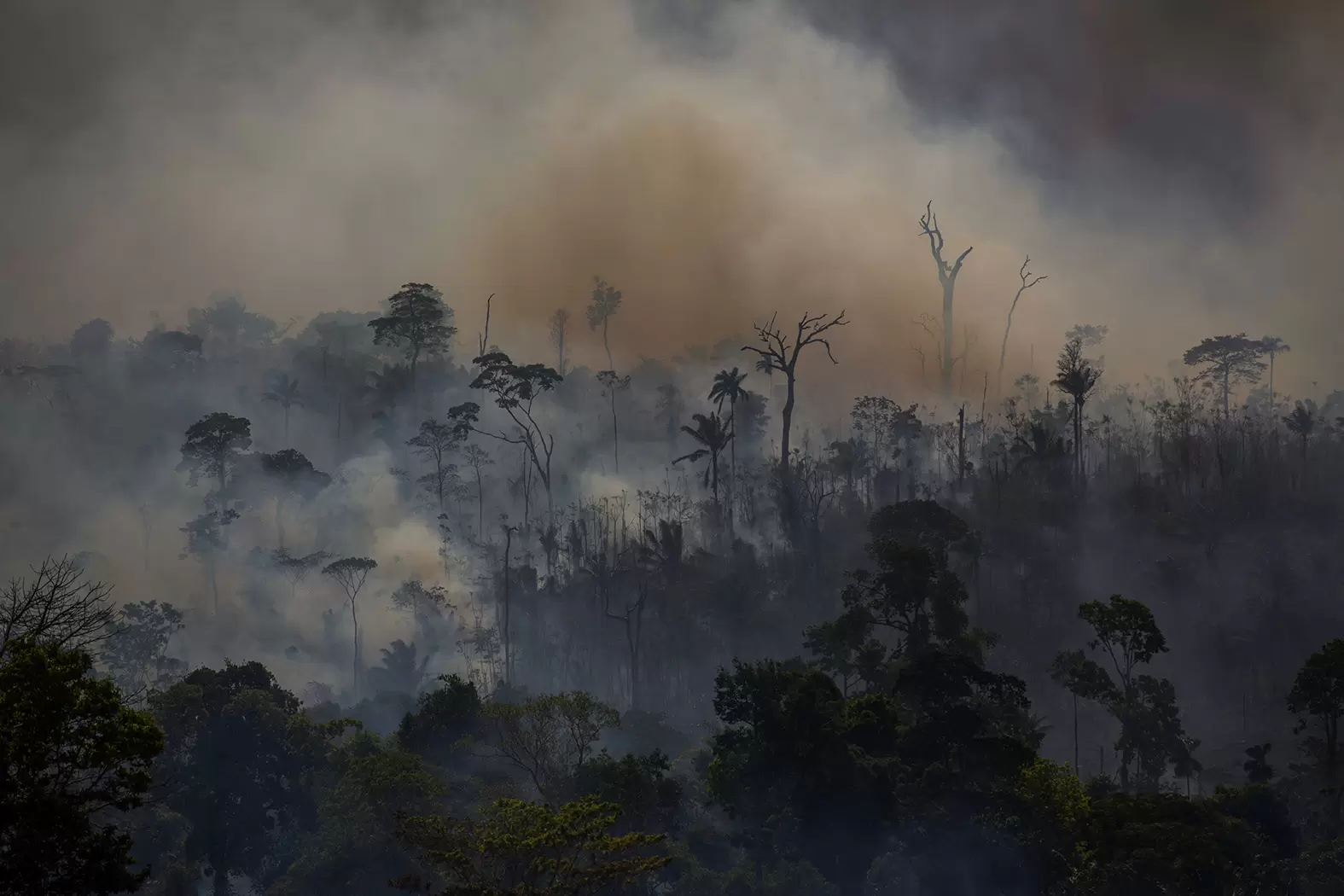 Un crime d’écocide, pour quoi faire ? | L'incitation du président brésilien à brûler la forêt amazonienne pour accroitre les terres agricoles pourrait constituer un crime écocide Crédit : Joao Laet/AFP | Françoise Blind-Kempinski - Directrice éditoriale et réalisatrice (journaliste Les Echos)
