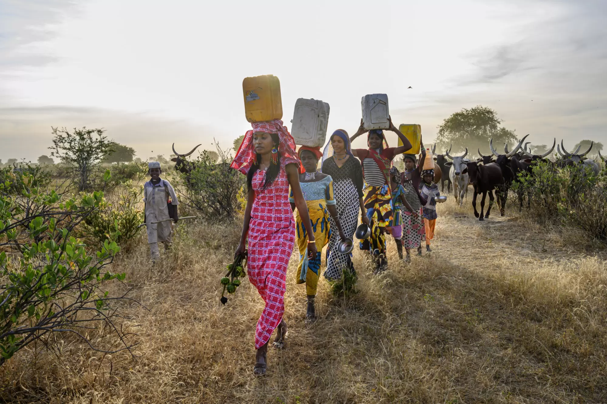 Hindou Oumarou Ibrahim, née femme, Peule et activiste | Le ravitaillement en eau des hommes et des troupeaux devient de plus en plus problématique au Tchad. Photo : Ami Vitale | Françoise Blind-Kempinski - Directrice éditoriale et réalisatrice (journaliste Les Echos)