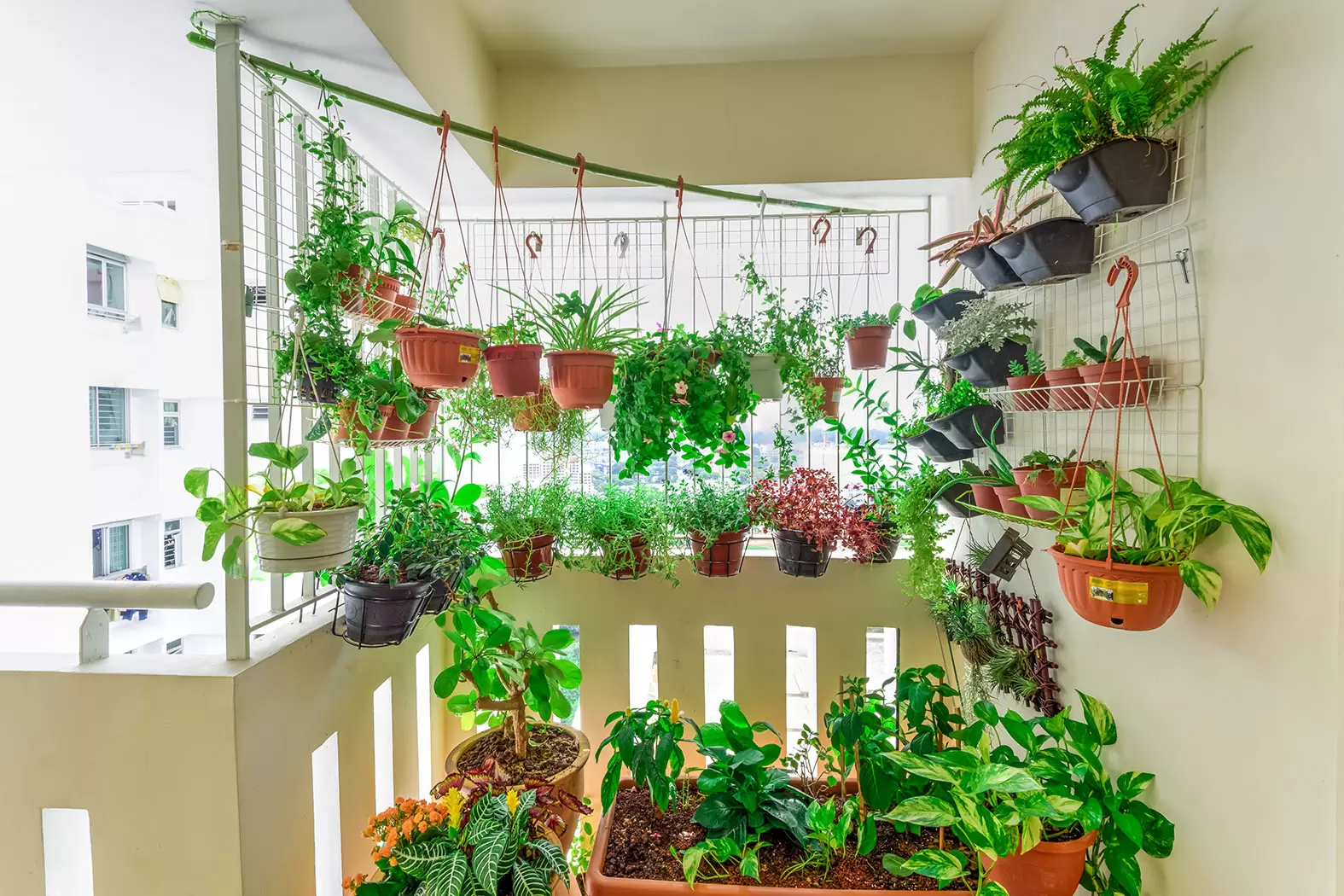 Au bonheur des jardins… bios | Même les plus petits espaces extérieurs peuvent se muer en espaces verts Crédit : Shutterstock | Françoise Blind-Kempinski - Directrice éditoriale et réalisatrice (journaliste Les Echos)