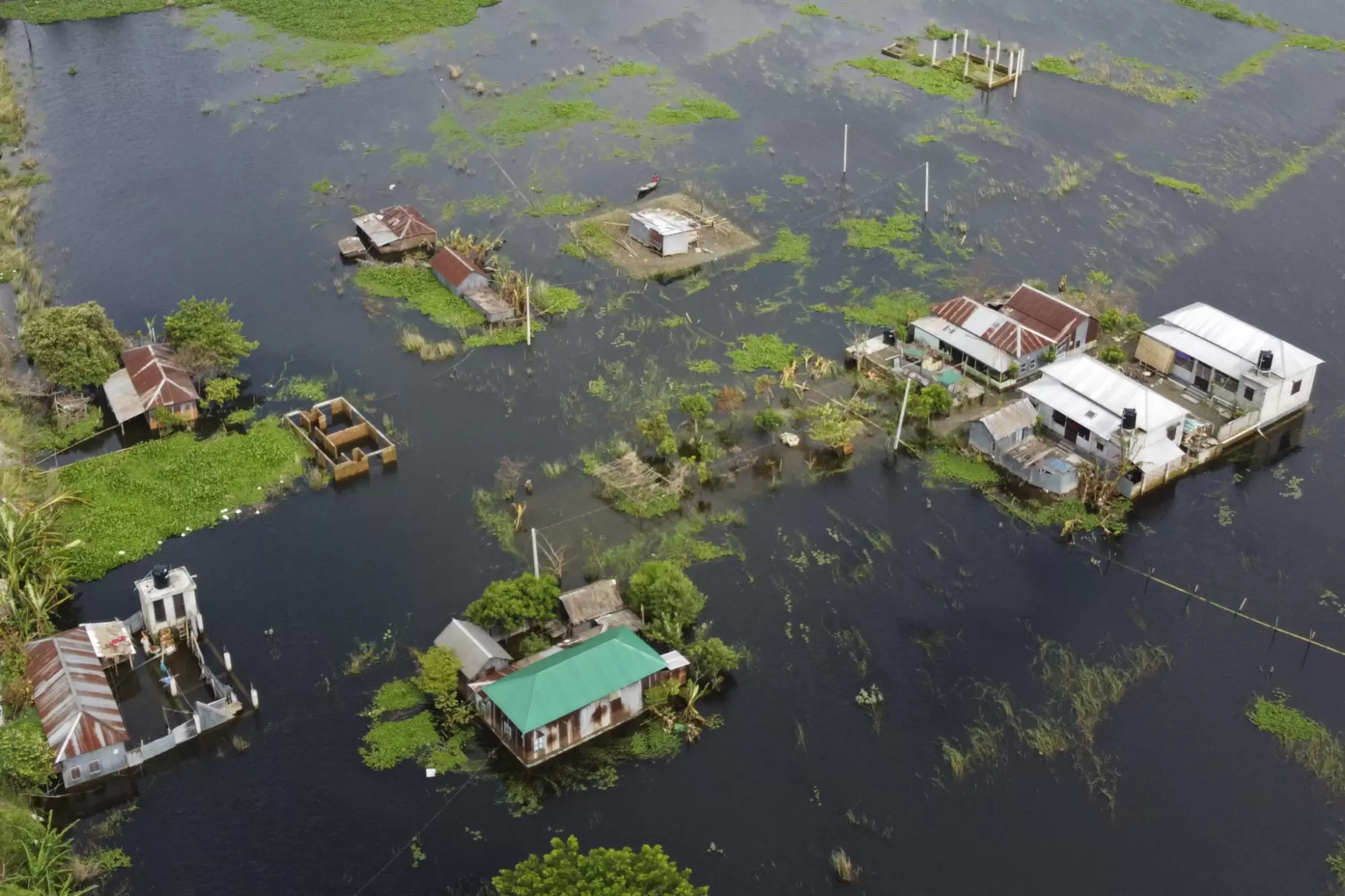Le changement climatique est aussi une crise sanitaire | Mousson au Bangladesh en 2020. Photo : Munir Uz zaman / AFP | Françoise Blind-Kempinski - Directrice éditoriale et réalisatrice (journaliste Les Echos)