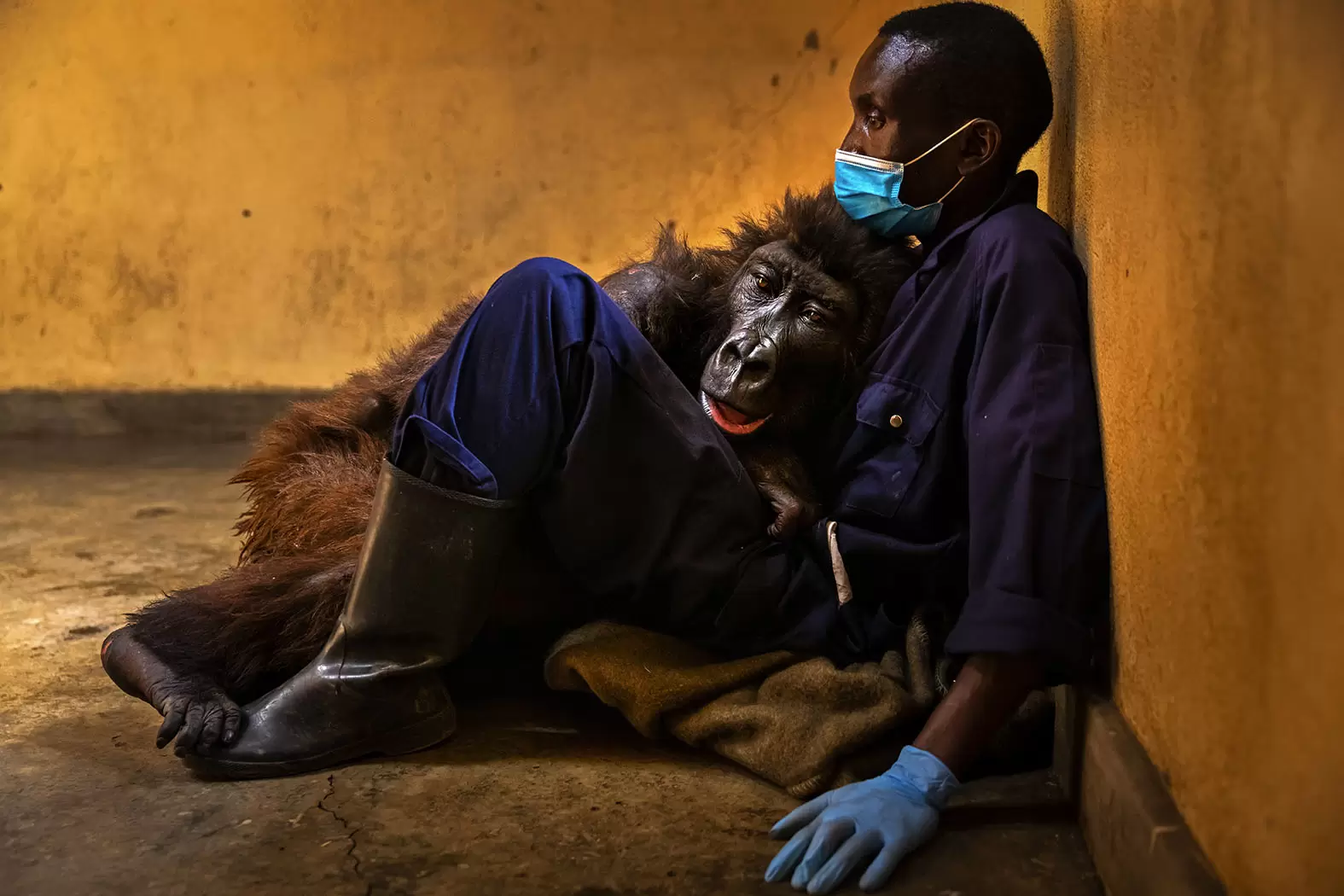 Les lauréats 2022 du prix Wildlife | © Brent Stirton / Wildlife Photographer of the Year 2022 | Françoise Blind-Kempinski - Directrice éditoriale et réalisatrice (journaliste Les Echos)