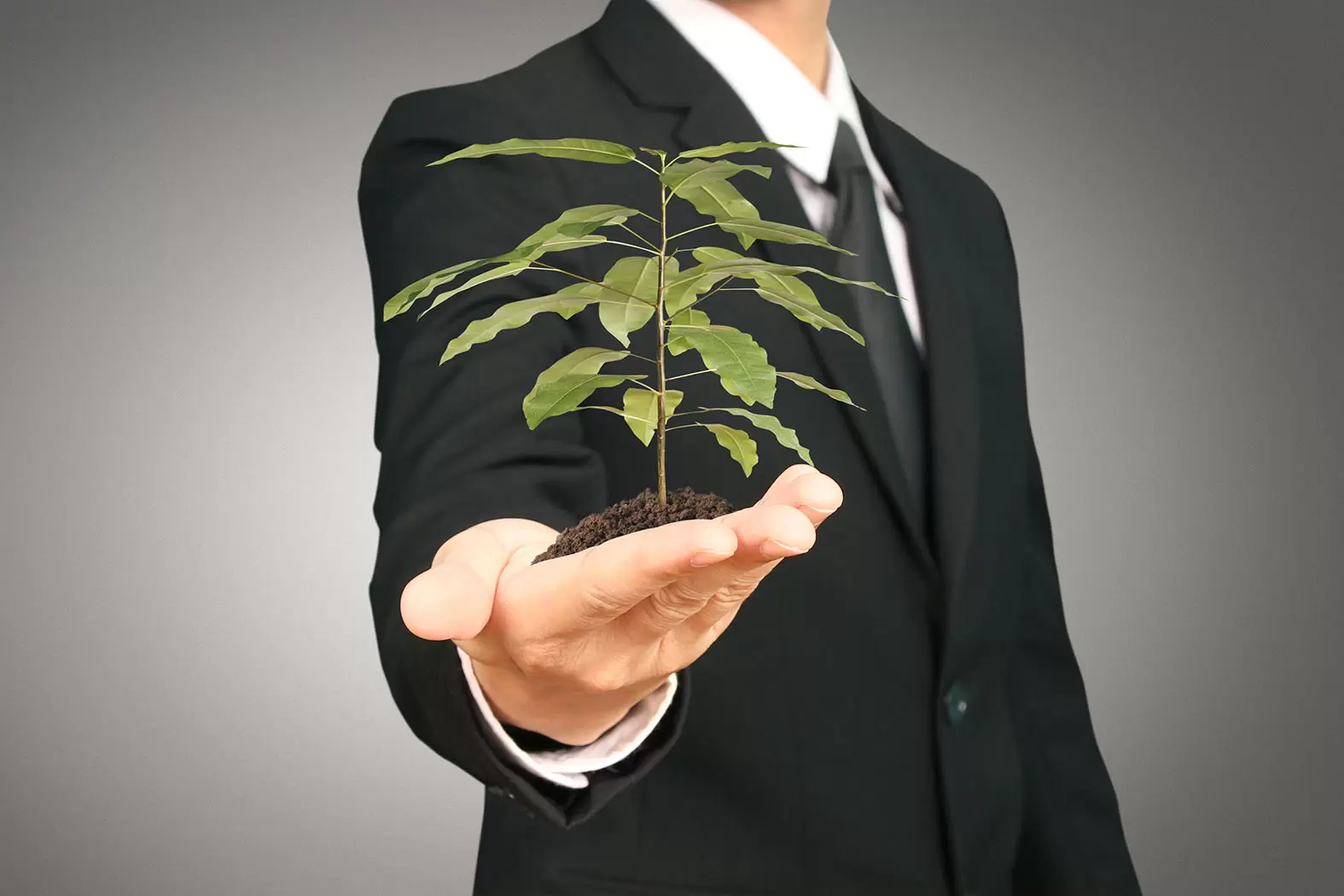 Entreprises et biodiversité : l’urgence de la réconciliation | Si 60 % des sociétés interrogées suivent la biodiversité par des indicateurs spécifiques, seulement 30% y ont affecté des ressources. Crédit photo : Shutterstock | Françoise Blind-Kempinski - Directrice éditoriale et réalisatrice (journaliste Les Echos)