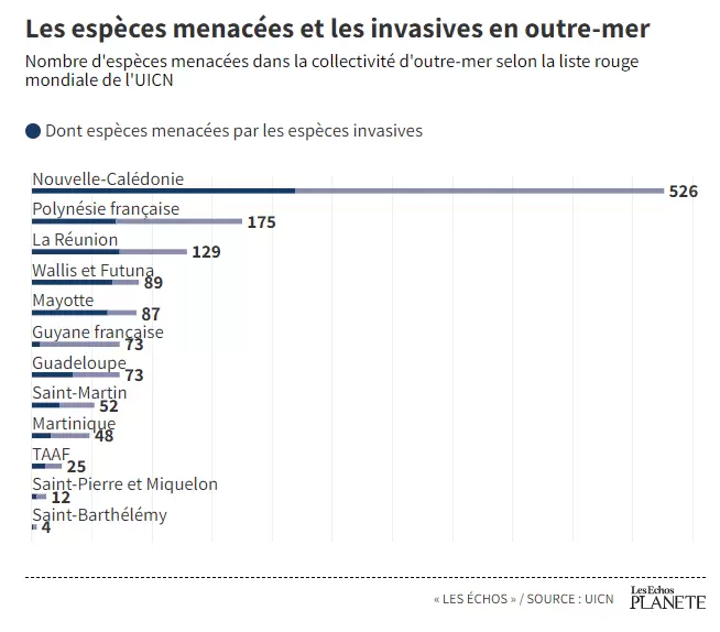 Les espèces exotiques envahissantes : un fléau planétaire | Graphique du nombre d'espèces menacées dans la collectivité d'outre-mer - Réalisé par Les Echos | Françoise Blind-Kempinski - Directrice éditoriale et réalisatrice (journaliste Les Echos)