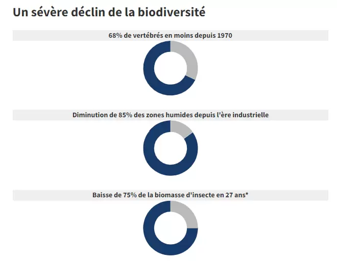 Entreprises et biodiversité : l’urgence de la réconciliation | « LES ÉCHOS » / SOURCE : BCG • *dans les zones protégées | Françoise Blind-Kempinski - Directrice éditoriale et réalisatrice (journaliste Les Echos)