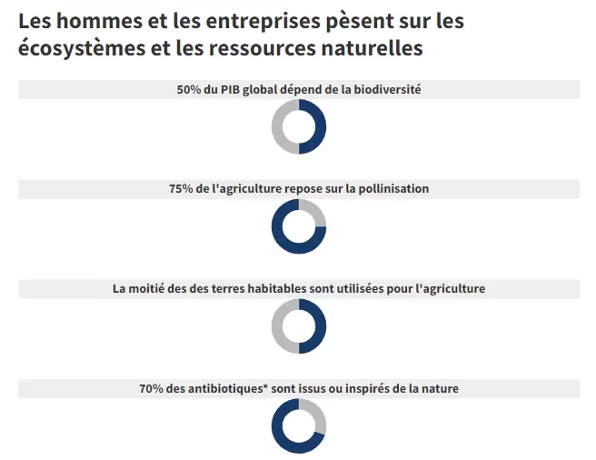 Entreprises et biodiversité : l’urgence de la réconciliation | « LES ÉCHOS » / SOURCE : BCG • * et des médicaments anticancer | Françoise Blind-Kempinski - Directrice éditoriale et réalisatrice (journaliste Les Echos)