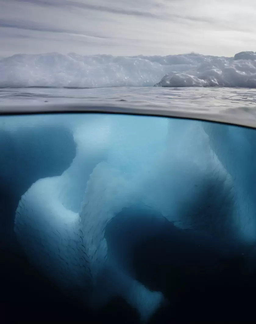 Olivier Poivre d’Arvor: «Les mers et les pôles vont devenir de grands enjeux de paix» | (iStock) | Françoise Blind-Kempinski - Directrice éditoriale et réalisatrice (journaliste Les Echos)