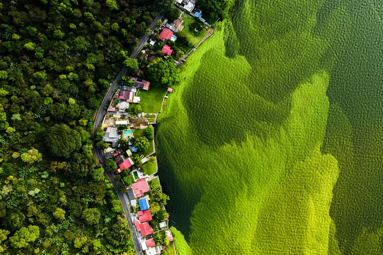 Les lauréats 2022 du prix Wildlife | © Daniel Núñez / Wildlife Photographer of the Year 2022 | Françoise Blind-Kempinski - Directrice éditoriale et réalisatrice (journaliste Les Echos)