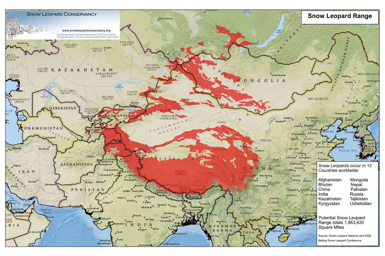 Rodney Jackson danse avec les léopards des neiges | Les léopards des neiges sont localisés dans des régions montagneuses inhospitalières qui recouvrent pas moins de 12 pays. Crédit : Courtesy of Rodney Jackson | Françoise Blind-Kempinski - Directrice éditoriale et réalisatrice (journaliste Les Echos)