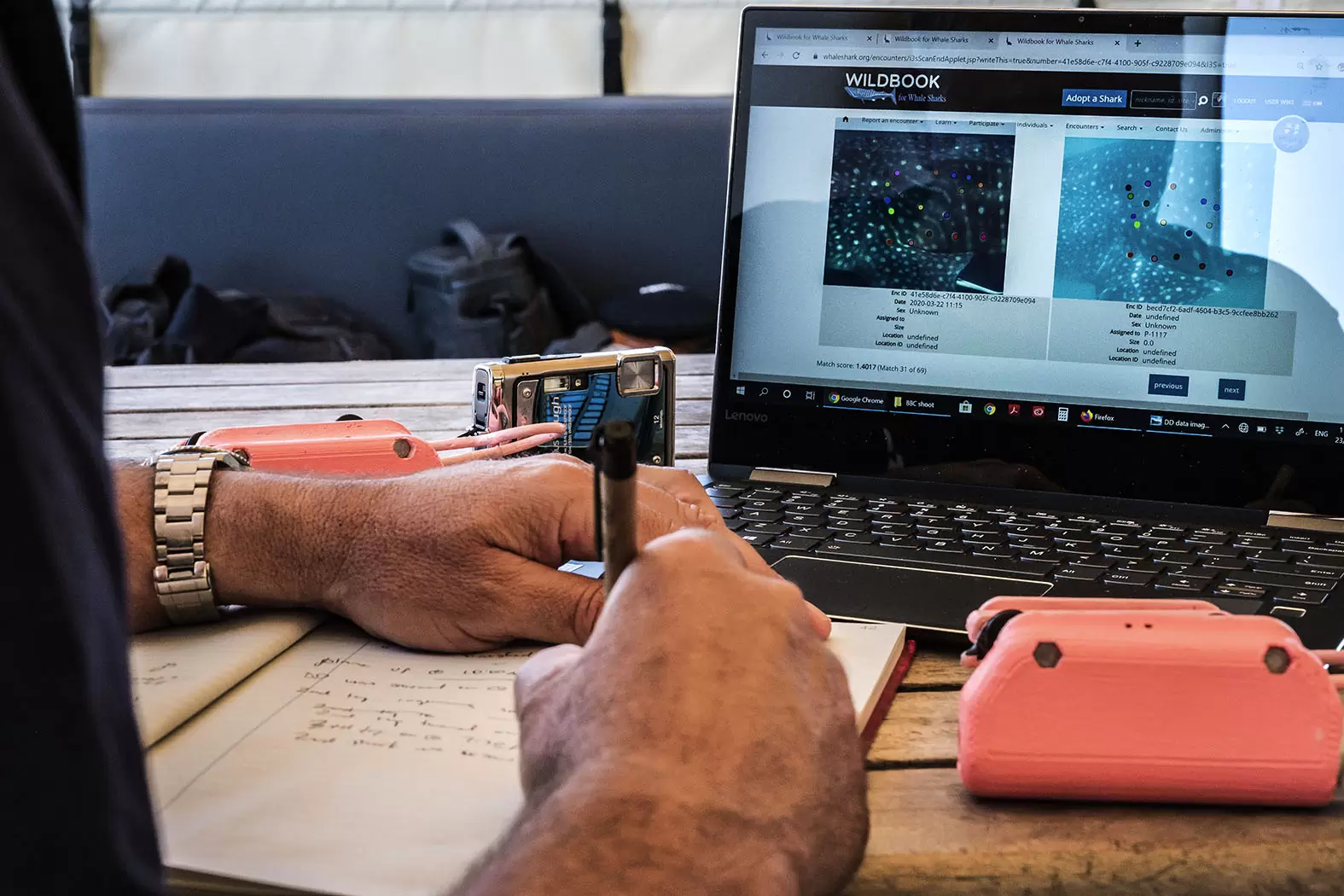 Brad Norman, le champion des requins-baleines | Les constellations de points blancs sur la peau des requins-baleines sont uniques et permettent de distinguer les individus. Crédit photo : Rolex/Franck Gazzola | Françoise Blind-Kempinski - Directrice éditoriale et réalisatrice (journaliste Les Echos)