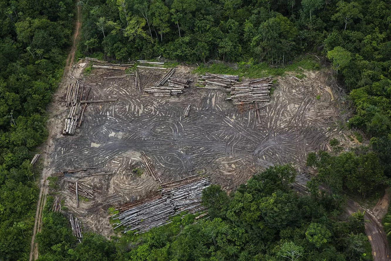 Dix ans pour sauver la forêt tropicale | Vue aérienne d'une scierie illégale dans le territoire autochtone d'Alto Rio Guama. | Françoise Blind-Kempinski - Directrice éditoriale et réalisatrice (journaliste Les Echos)