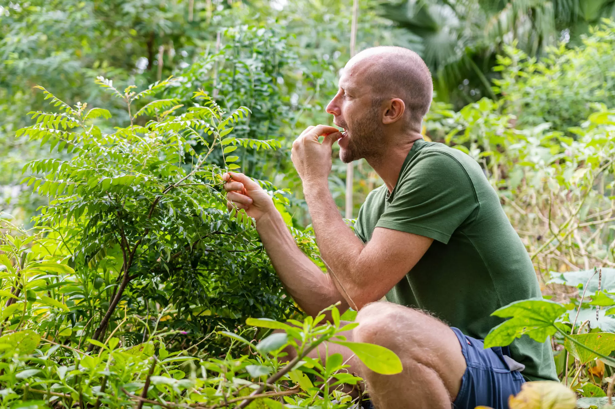 Rob Greenfield réveille la conscience des américains | www.livewonderful.com | Françoise Blind-Kempinski - Directrice éditoriale et réalisatrice (journaliste Les Echos)