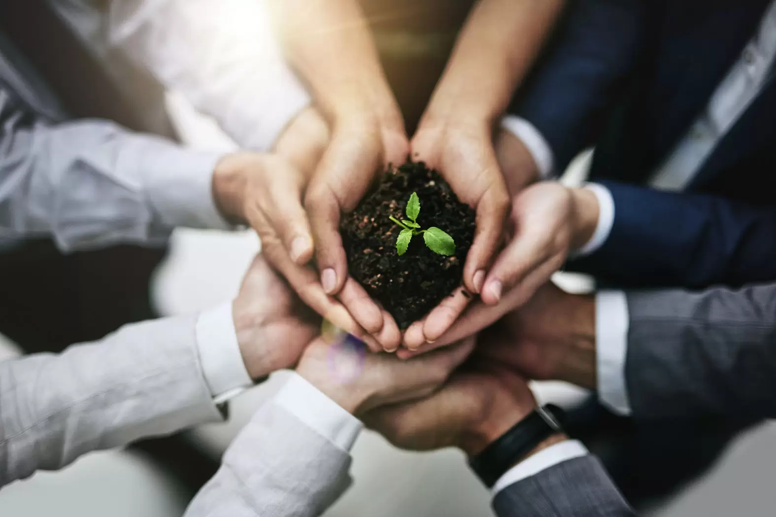 L'horizon vert de la pub | ENQ-Pub-2 | Françoise Blind-Kempinski - Directrice éditoriale et réalisatrice (journaliste Les Echos)