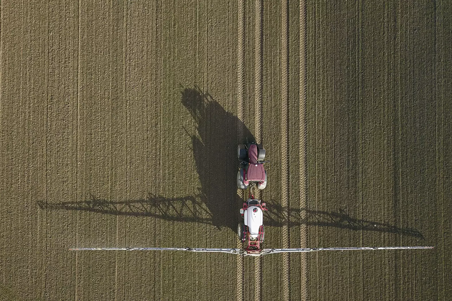 Tout savoir sur les pesticides en France | epandage | Françoise Blind-Kempinski - Directrice éditoriale et réalisatrice (journaliste Les Echos)
