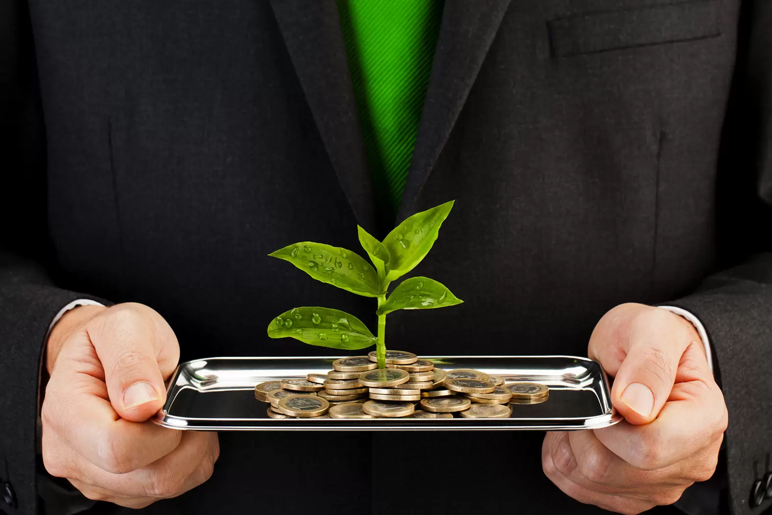 Bertrand Piccard: «Les députés doivent pousser les solutions vertes déjà existantes» | "Pour les parlementaires et pour le budget de l’Etat, c’est zéro besoin d’investissement. Pour ceux qui utiliseront les solutions, ce sont des investissements et non pas des coûts." Crédit iStock | Françoise Blind-Kempinski - Directrice éditoriale et réalisatrice (journaliste Les Echos)