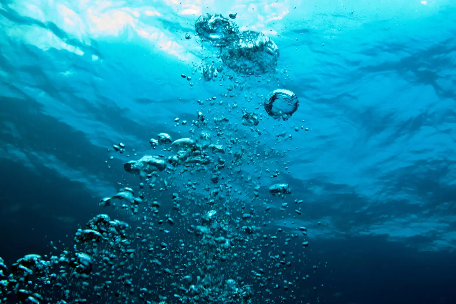 Françoise Gaill : «La nouvelle gouvernance de l’océan pourra apaiser les conflits» | Acidification, désoxygénation, stratification, dessalinisation…: bien des maux menacent les eaux marines. Crédit : iStock | Françoise Blind-Kempinski - Directrice éditoriale et réalisatrice (journaliste Les Echos)