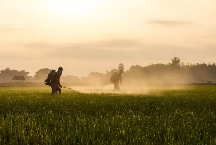Pour une écologie de l’alimentation, même en temps de guerre | Des fermiers arrosent les feuilles avec de l'engrais liquide.Photo : Shutterstock | Françoise Blind-Kempinski - Directrice éditoriale et réalisatrice (journaliste Les Echos)