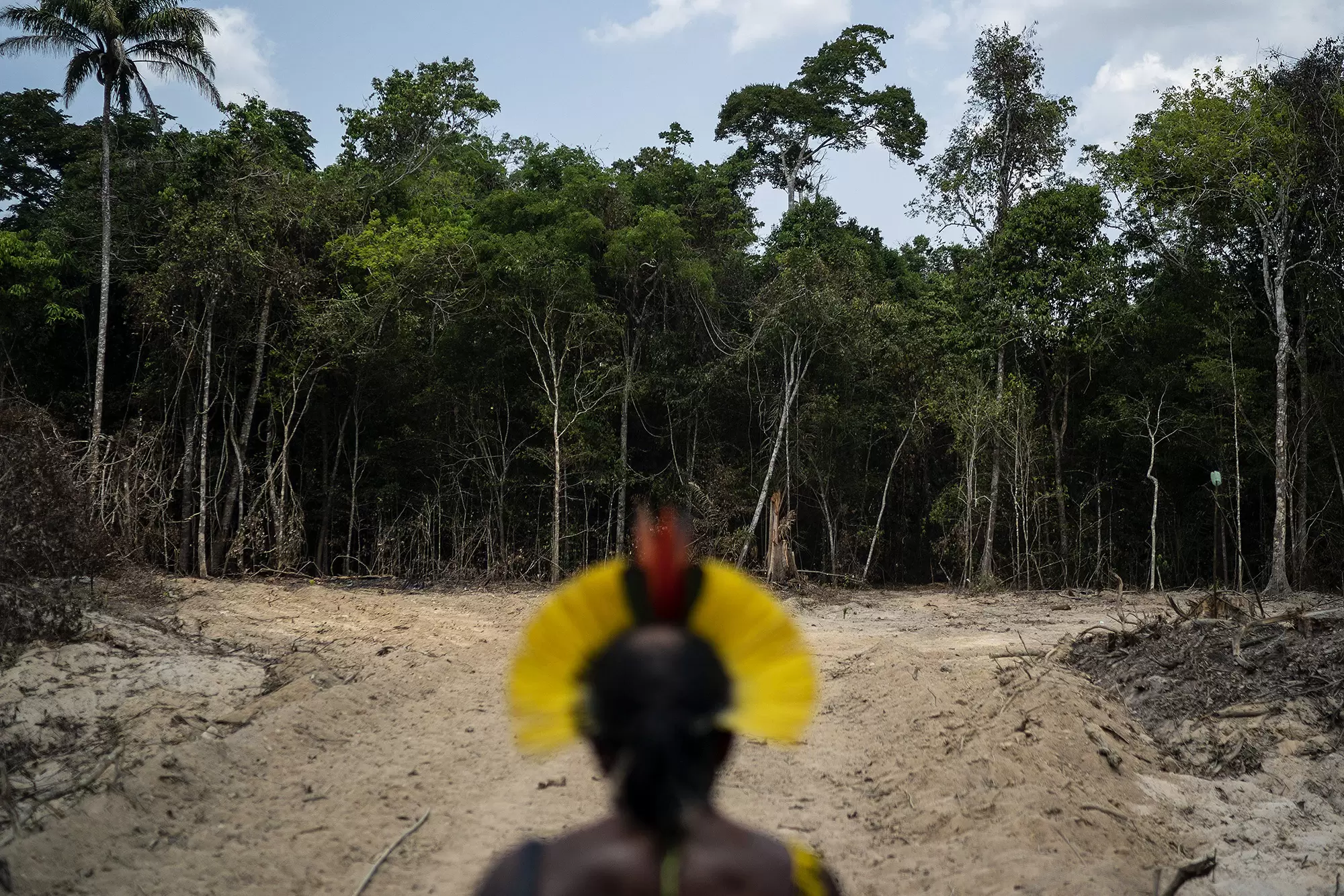Forêts : le rôle clé des tribus | Le chef indigène Krimej Kadjyre Kayapo, de la communauté indigène Kayapo, regarde un chemin créé par des bûcherons à la frontière entre la réserve biologique Serra do Cachimbo, à l'avant, et les terres indigènes Menkragnotire, à Altamira, dans l'État du Pará, au Brésil. Leo CorreaAP | Françoise Blind-Kempinski - Directrice éditoriale et réalisatrice (journaliste Les Echos)