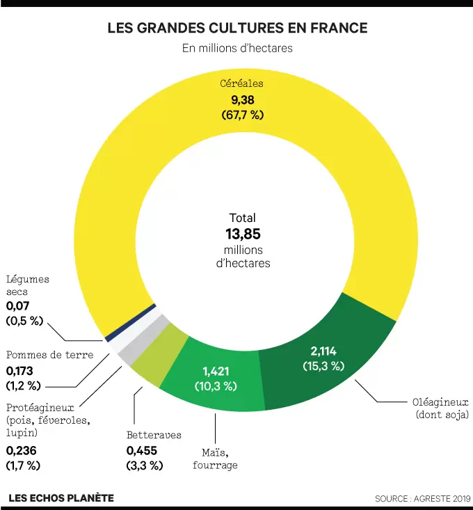 Notre futur passe par les légumineuses | Infographie des grandes cultures en France | Françoise Blind-Kempinski - Directrice éditoriale et réalisatrice (journaliste Les Echos)