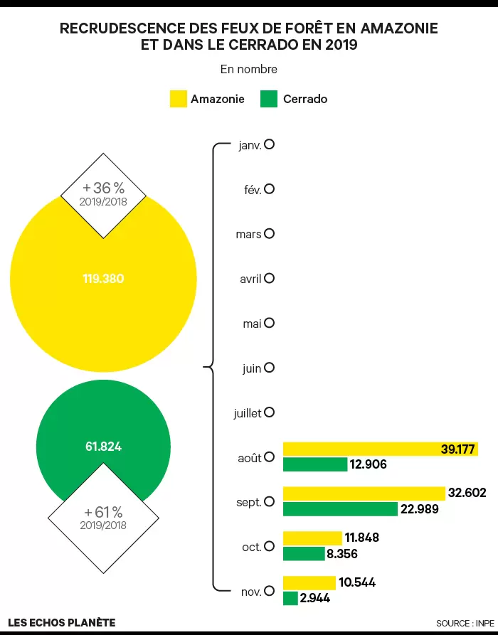 Dix ans pour sauver la forêt tropicale | Infographie de la recrudescence des feux de forêt en Amazonie et dans le Cerrado en 2019, selon l'INPE. | Françoise Blind-Kempinski - Directrice éditoriale et réalisatrice (journaliste Les Echos)