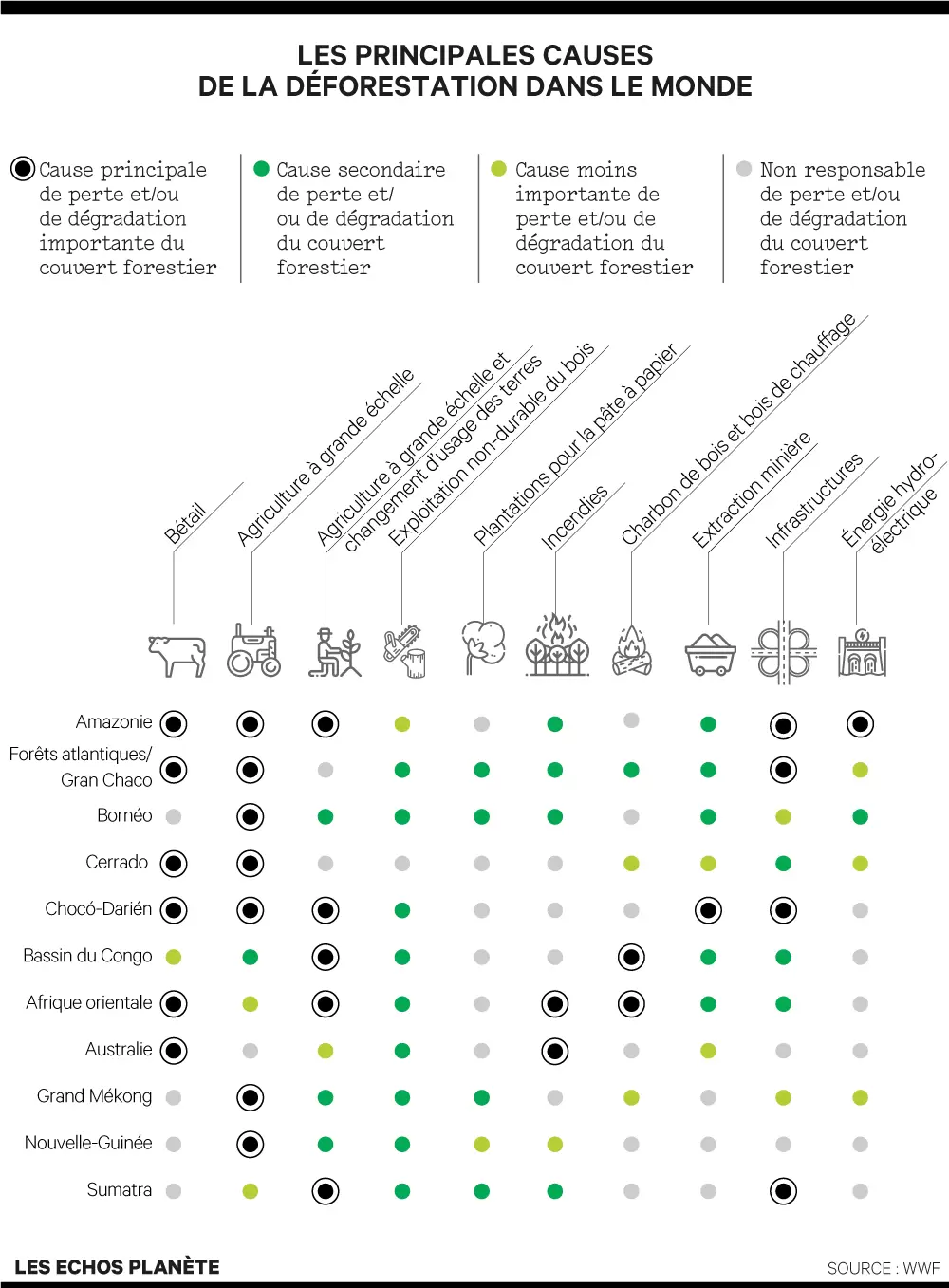 INF-XL-Deforestation-03-V2