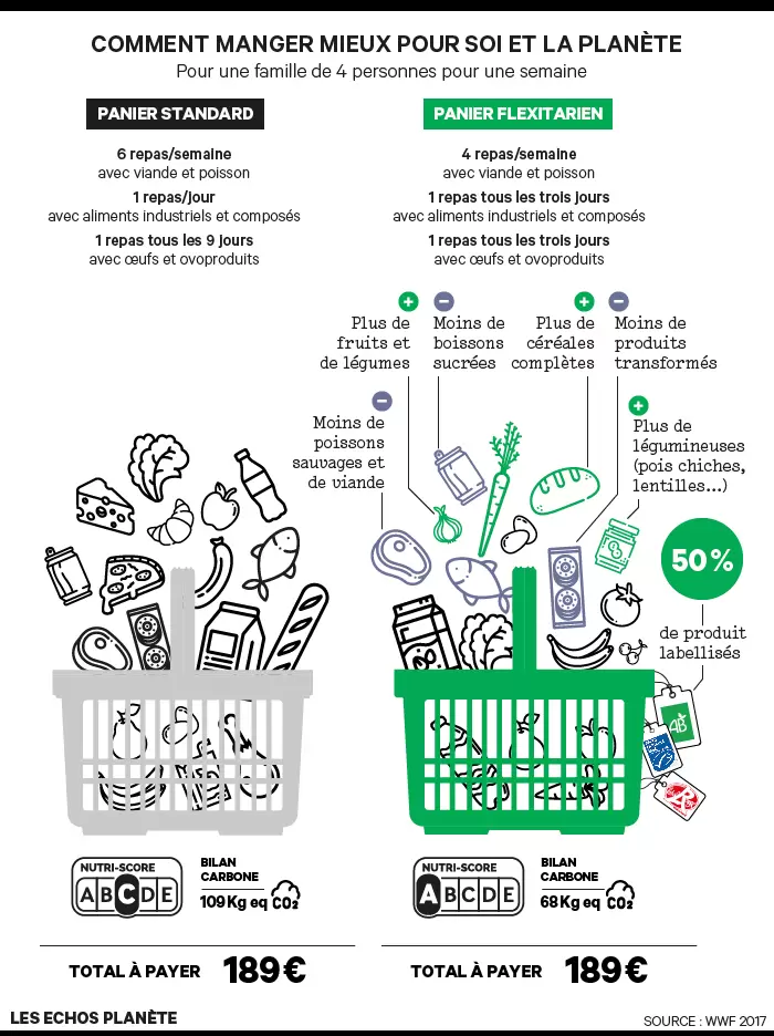 INF-XL-Deforestation-06