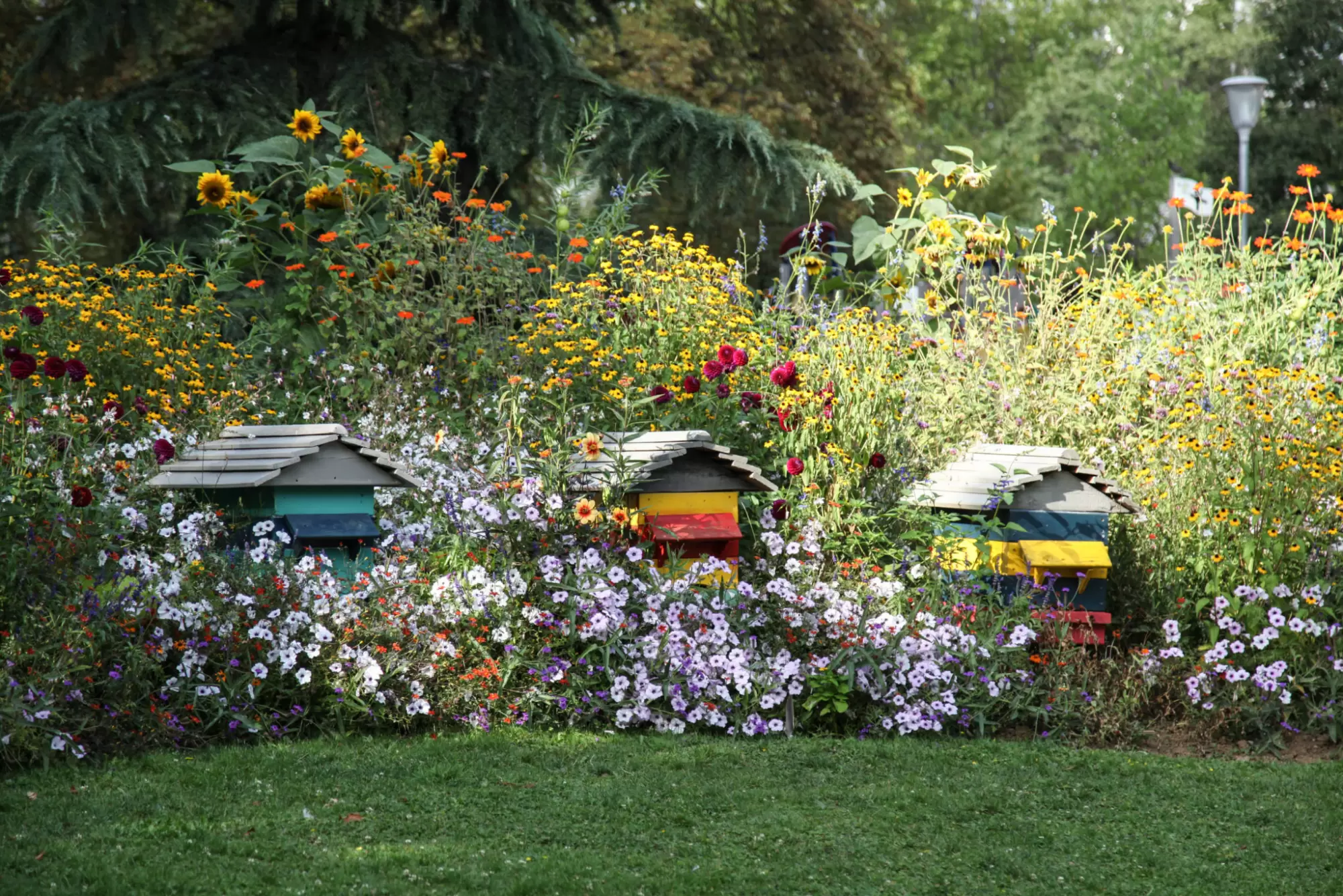 Au bonheur des jardins… bios | Avec la pandémie, le moindre centimètre carré d’extérieur est devenu une aubaine, qu’il s’agisse d’un bout de balcon ou d’un véritable jardin. Crédit : Alexandra Breznay/REA | Françoise Blind-Kempinski - Directrice éditoriale et réalisatrice (journaliste Les Echos)