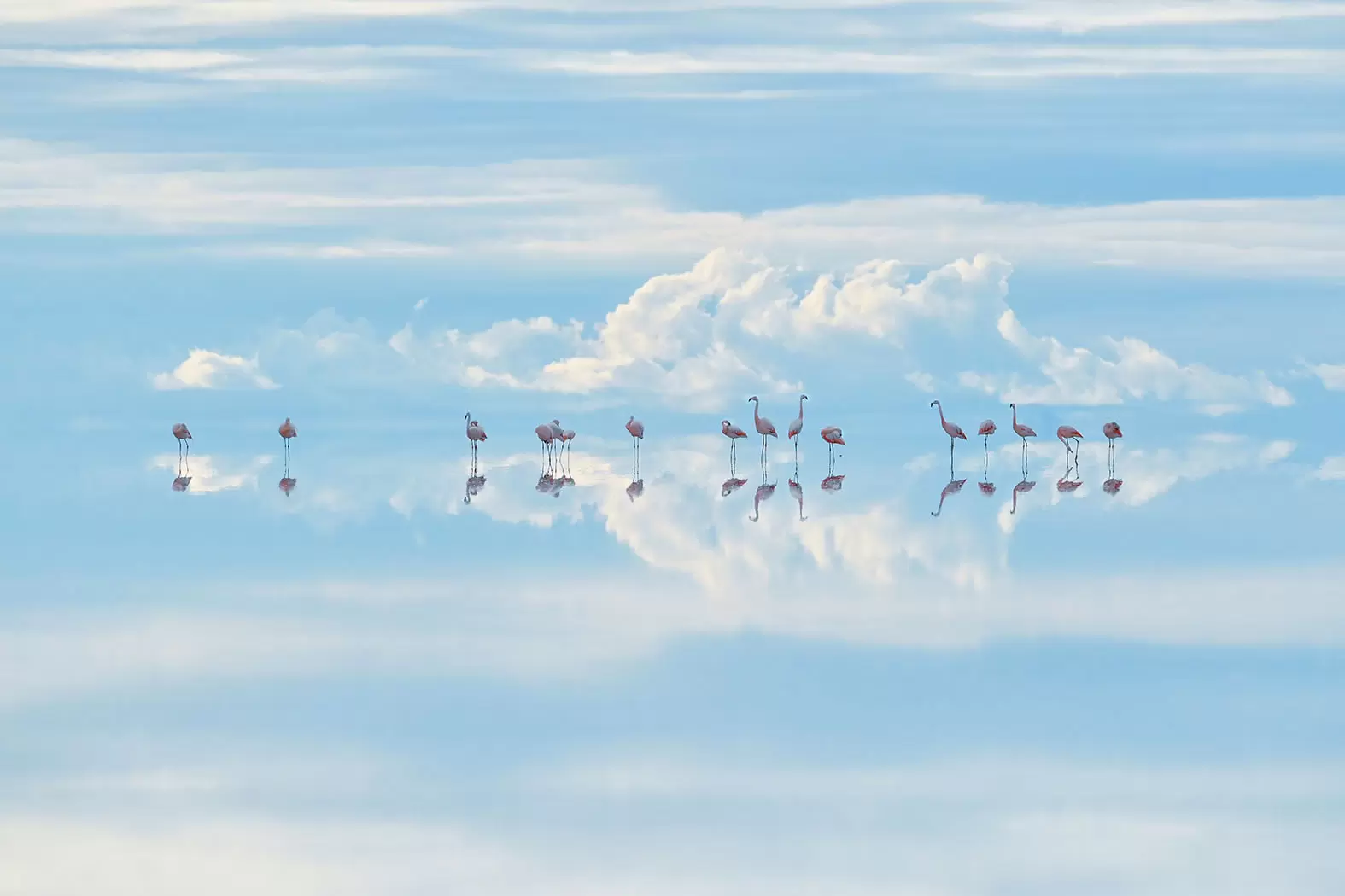 Les lauréats 2022 du prix Wildlife | ©Junji Takasago / Wildlife Photographer of the Year 2022 | Françoise Blind-Kempinski - Directrice éditoriale et réalisatrice (journaliste Les Echos)