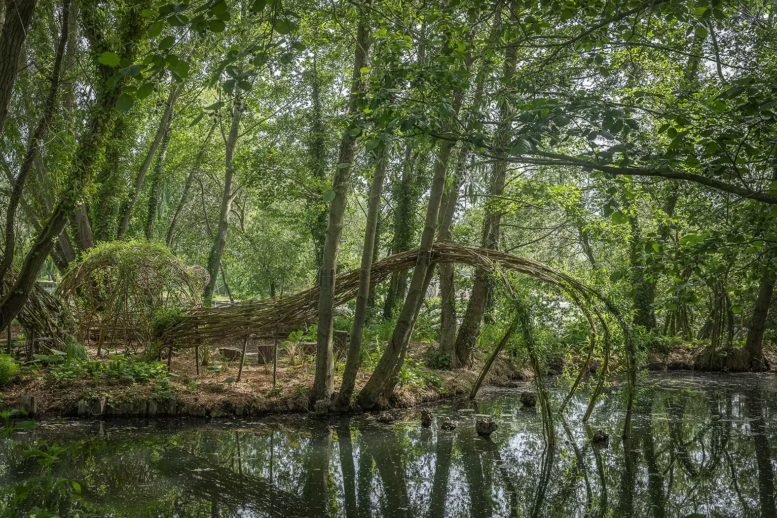 Une promenade onirique dans les hortillonnages d’Amiens | La Fascinatrice des Hortillonnages | Françoise Blind-Kempinski - Directrice éditoriale et réalisatrice (journaliste Les Echos)
