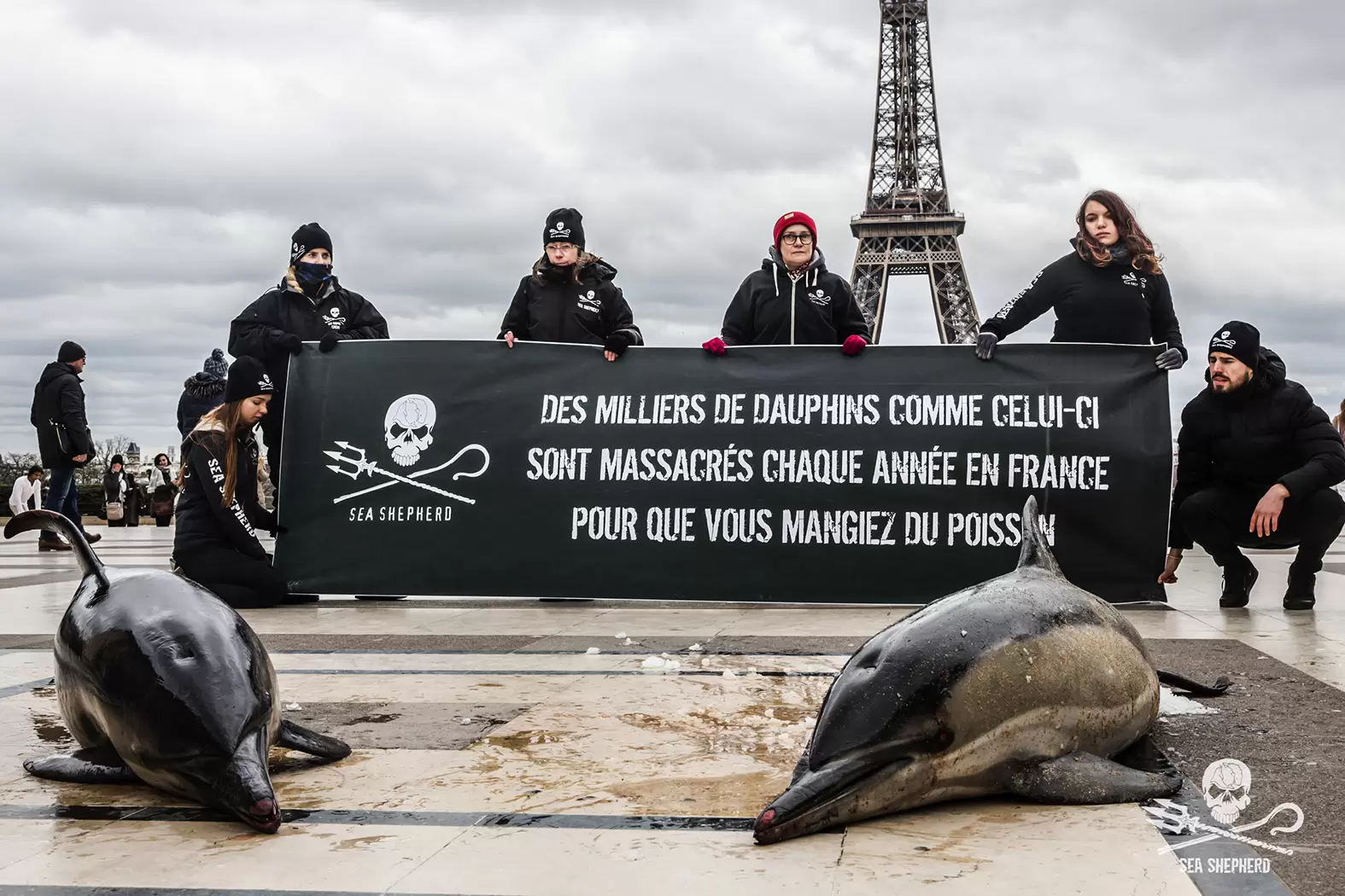 Lamya Essemlali, en guerre contre le massacre des espèces marines | Lamya | Françoise Blind-Kempinski - Directrice éditoriale et réalisatrice (journaliste Les Echos)