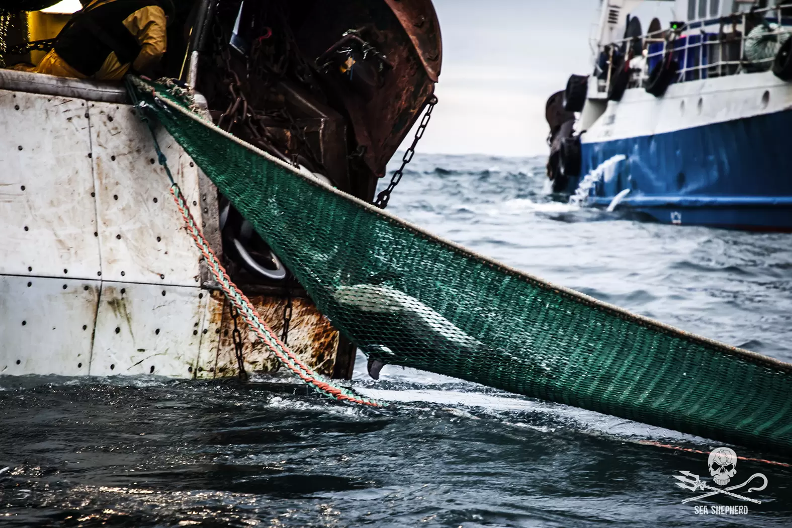 Lamya Essemlali, en guerre contre le massacre des espèces marines | Photo Sea Shepherd pêche illégale | Françoise Blind-Kempinski - Directrice éditoriale et réalisatrice (journaliste Les Echos)