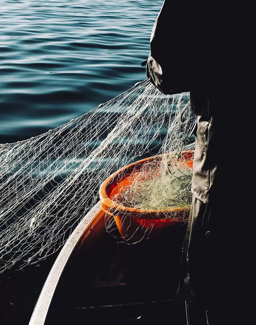 Indigo met le cap sur les filets de pêche biodégradables | L’objectif principal du projet Indigo est de proposer deux prototypes d’engins biodégradables d’ici fin 2021 : un filet fin pour la pêche et un autre pour l’aquaculture des moules. (Fredrik Ohlander/Unsplash) | Françoise Blind-Kempinski - Directrice éditoriale et réalisatrice (journaliste Les Echos)