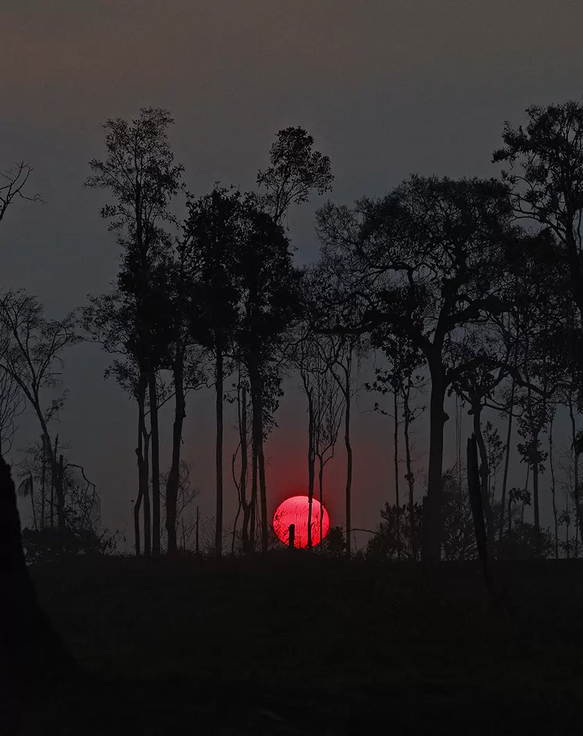 Un crime d’écocide, pour quoi faire ? | (Carl de Souza/AFP) | Françoise Blind-Kempinski - Directrice éditoriale et réalisatrice (journaliste Les Echos)