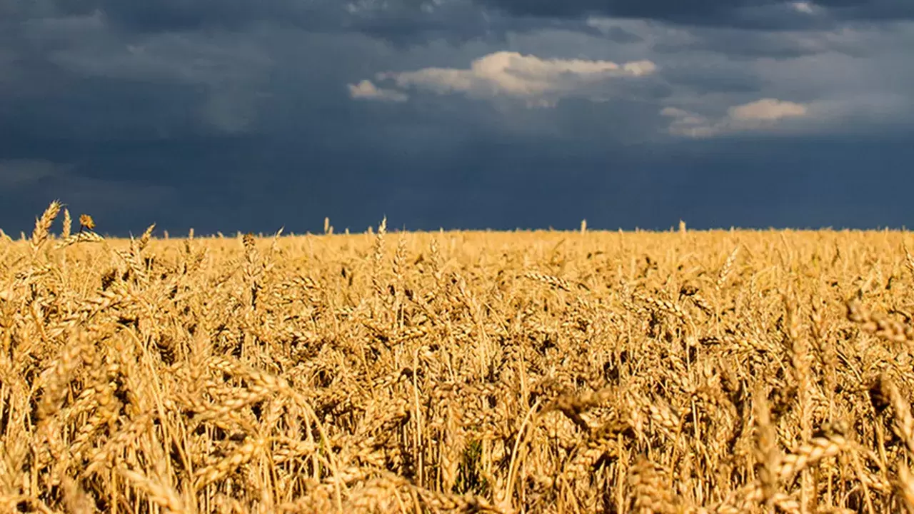 Pour une écologie de l’alimentation, même en temps de guerre | (iStock) | Françoise Blind-Kempinski - Directrice éditoriale et réalisatrice (journaliste Les Echos)