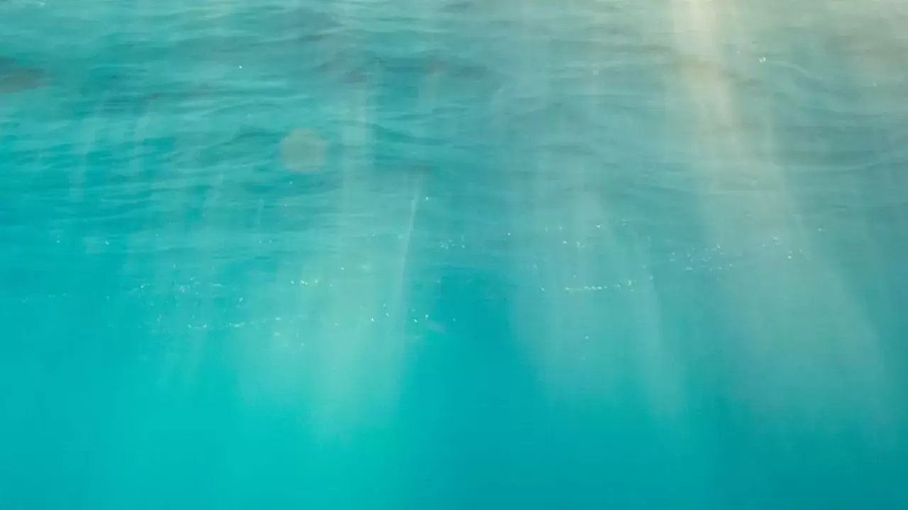 Traité sur la haute mer : encore un round | (iStock) | Françoise Blind-Kempinski - Directrice éditoriale et réalisatrice (journaliste Les Echos)