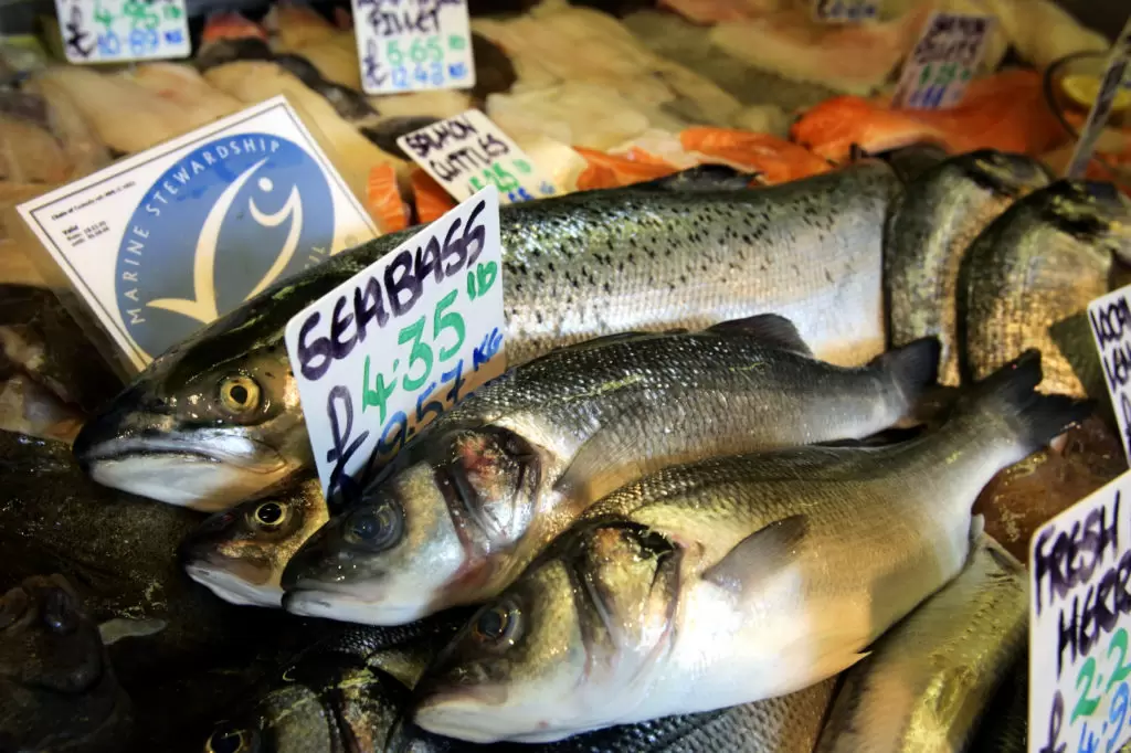 Pêche durable : guide à l'usage du consommateur responsable | Françoise Blind-Kempinski - Directrice éditoriale et réalisatrice (journaliste Les Echos)