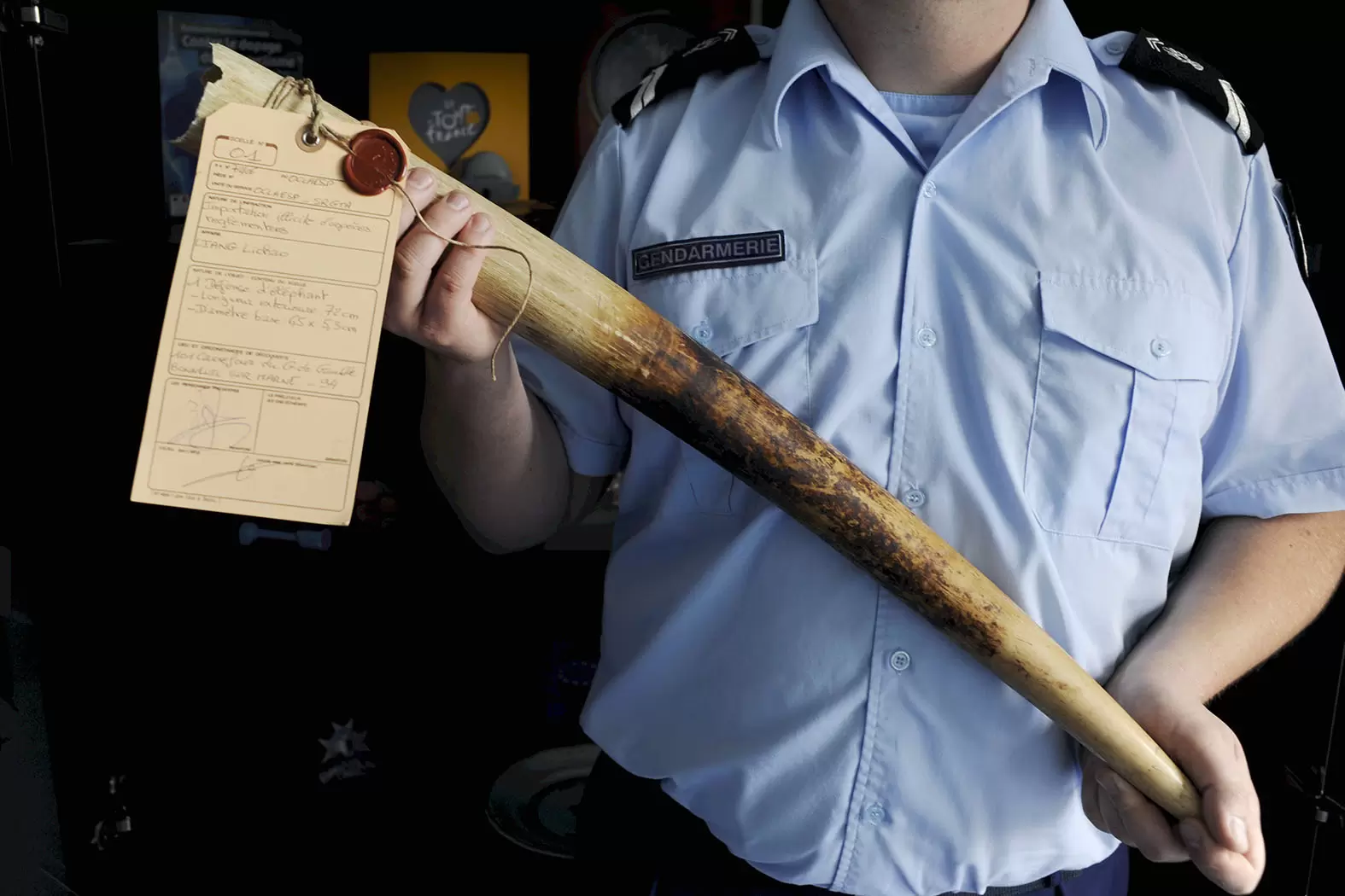 Trafic d’espèces protégées : la gendarmerie à la manœuvre | L'Oclaesp, Office central de lutte contre les atteintes à l'environnement et la santé publique a été créé en 2004. Crédit photo Jérôme Chatin/ L'Expansion/REA | Françoise Blind-Kempinski - Directrice éditoriale et réalisatrice (journaliste Les Echos)