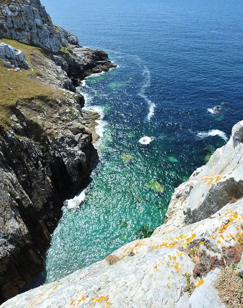 La belle promesse des aires protégées mondiales | Falaise maritime-Presqu'ile de Crozon. Parc Naturel marin d'Iroise, Site du Conservatoire du Littoral. FRANCE, JUIN 2011/Credit:AMICE/BNT/SIPA/1201181324 | Françoise Blind-Kempinski - Directrice éditoriale et réalisatrice (journaliste Les Echos)