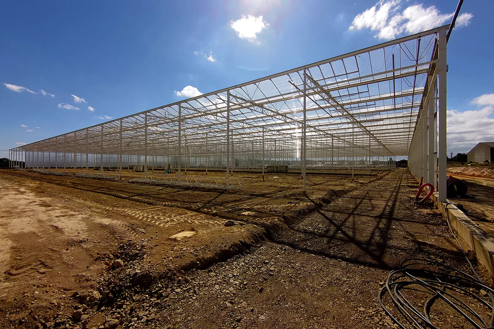 Bioplants, l’entreprise écologique du pot jusqu’à la feuille | Bioplants a été en mesure d’investir 8,7 millions d’euros pour construire sa propre serre de 15.000 mètres carré aux Ponts-de-Cé, toujours dans le Maine-et-Loire, dans laquelle elle s’installera en 2021. Crédit : Bioplants | Françoise Blind-Kempinski - Directrice éditoriale et réalisatrice (journaliste Les Echos)