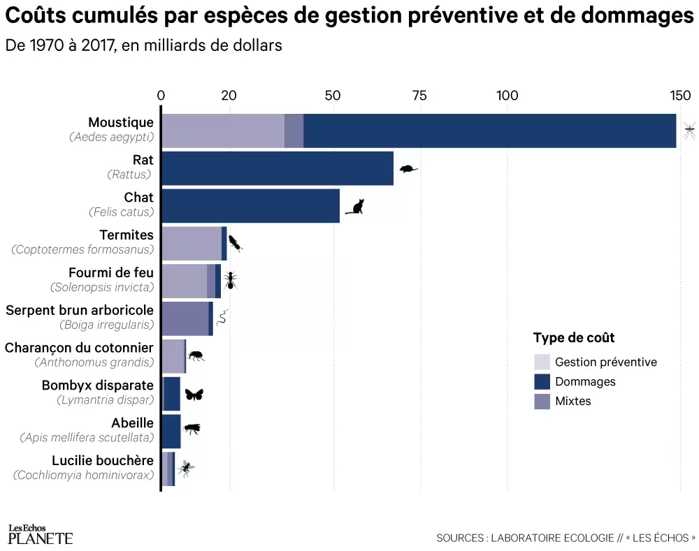 Les espèces exotiques envahissantes : un fléau planétaire | Graphique des coûts de gestion préventive et des dommages engendrés par les espèces invasives - Réalisé par Les Echos | Françoise Blind-Kempinski - Directrice éditoriale et réalisatrice (journaliste Les Echos)