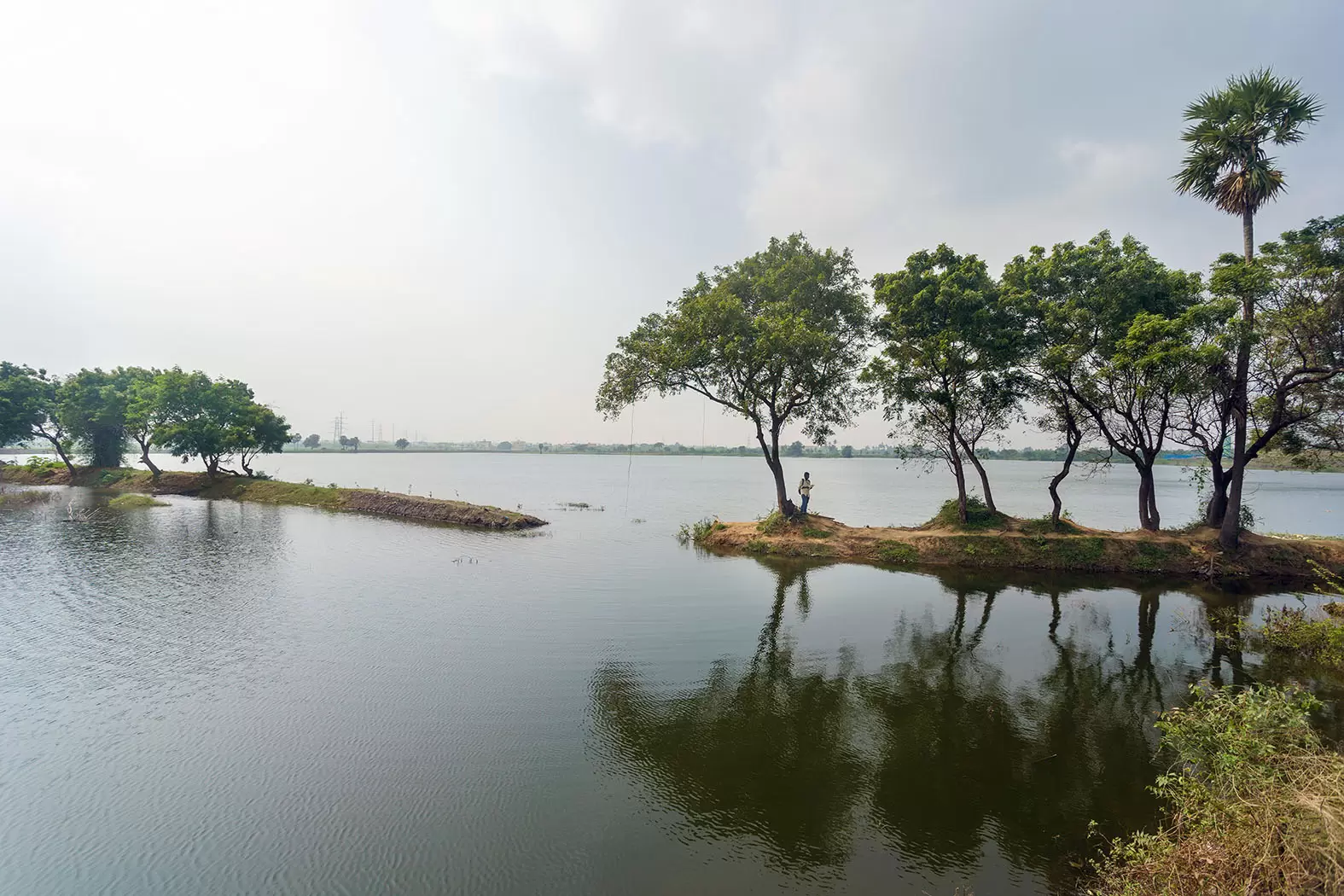 Arun Krishnamurthy redonne vie aux lacs indiens | | Françoise Blind-Kempinski - Directrice éditoriale et réalisatrice (journaliste Les Echos)