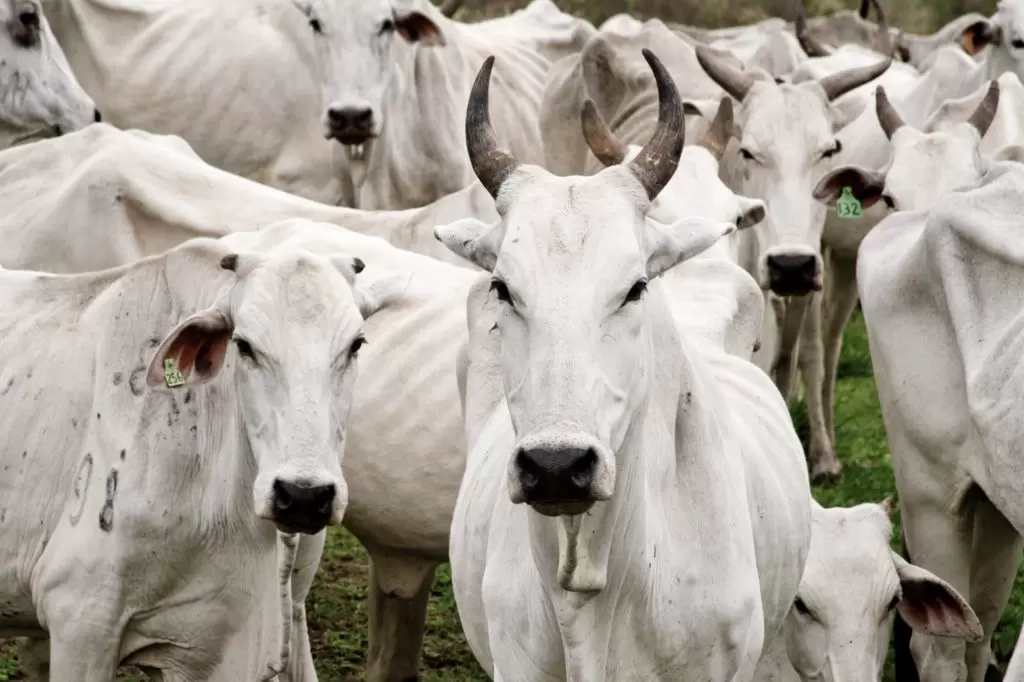 rea_210945_011-1024x682