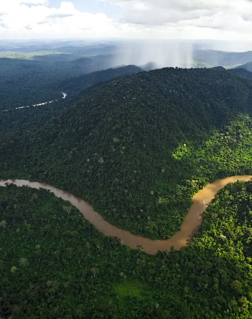 Le Cerrado : une destruction annoncée | vue aérienne de la forêt tropicale | Françoise Blind-Kempinski - Directrice éditoriale et réalisatrice (journaliste Les Echos)
