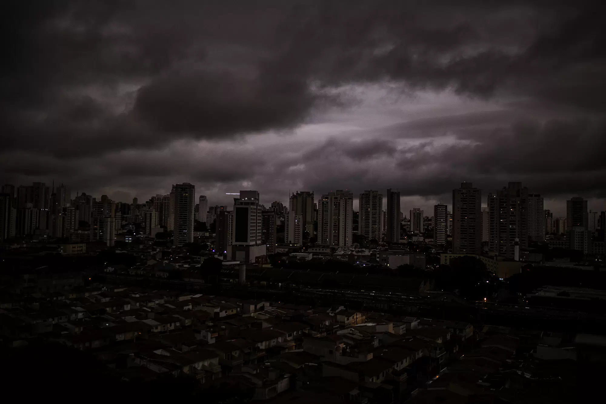 Dix ans pour sauver la forêt tropicale | São Paulo, lundi 19 août. | Françoise Blind-Kempinski - Directrice éditoriale et réalisatrice (journaliste Les Echos)