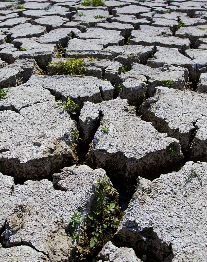 Le changement climatique est aussi une crise sanitaire | (Ty Oneil/SOPA Images via ZUMA Press Wire) | Françoise Blind-Kempinski - Directrice éditoriale et réalisatrice (journaliste Les Echos)