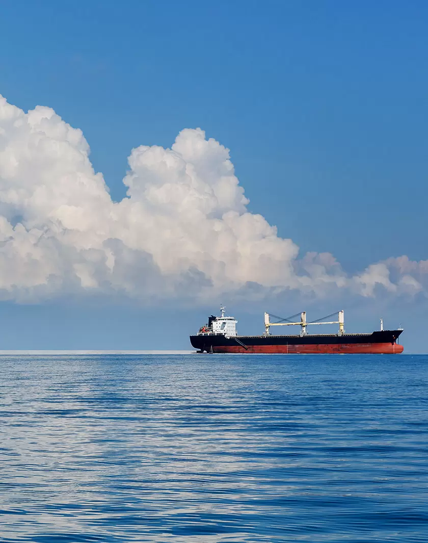 Entreprises et biodiversité : l’urgence de la réconciliation | Objectif de développement durable numéro 14 de l'ONU : « conserver et exploiter de manière durable les océans, les mers et les ressources marines aux fins du développement durable ». (Shutterstock) | Françoise Blind-Kempinski - Directrice éditoriale et réalisatrice (journaliste Les Echos)