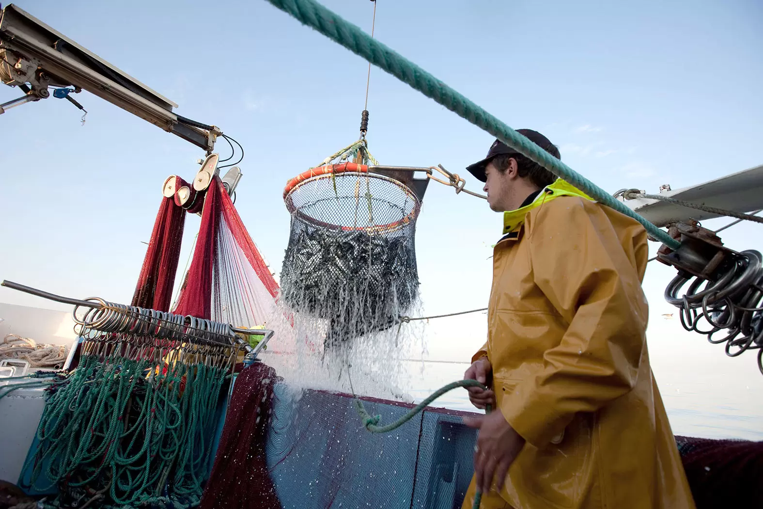Pêche durable : guide à l'usage du consommateur responsable | Colin Gildas/Sipa | Françoise Blind-Kempinski - Directrice éditoriale et réalisatrice (journaliste Les Echos)