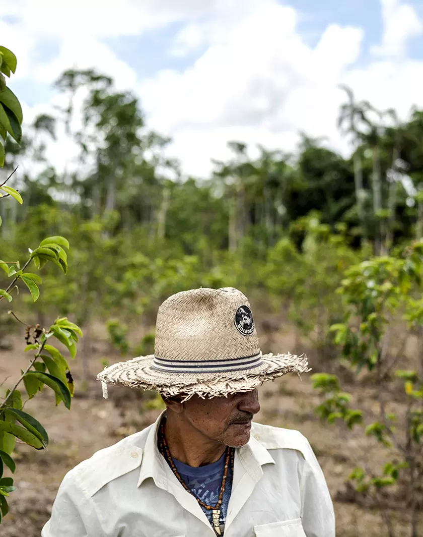 Forêts : le rôle clé des tribus | (Leo Correa/AP) | Françoise Blind-Kempinski - Directrice éditoriale et réalisatrice (journaliste Les Echos)