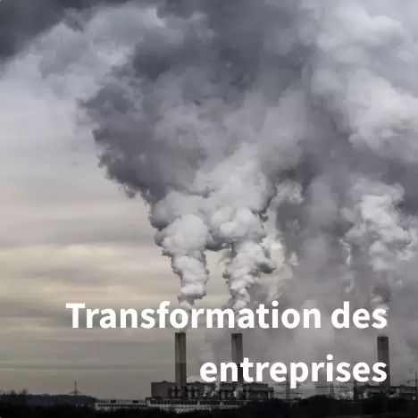 Transfo des entreprises