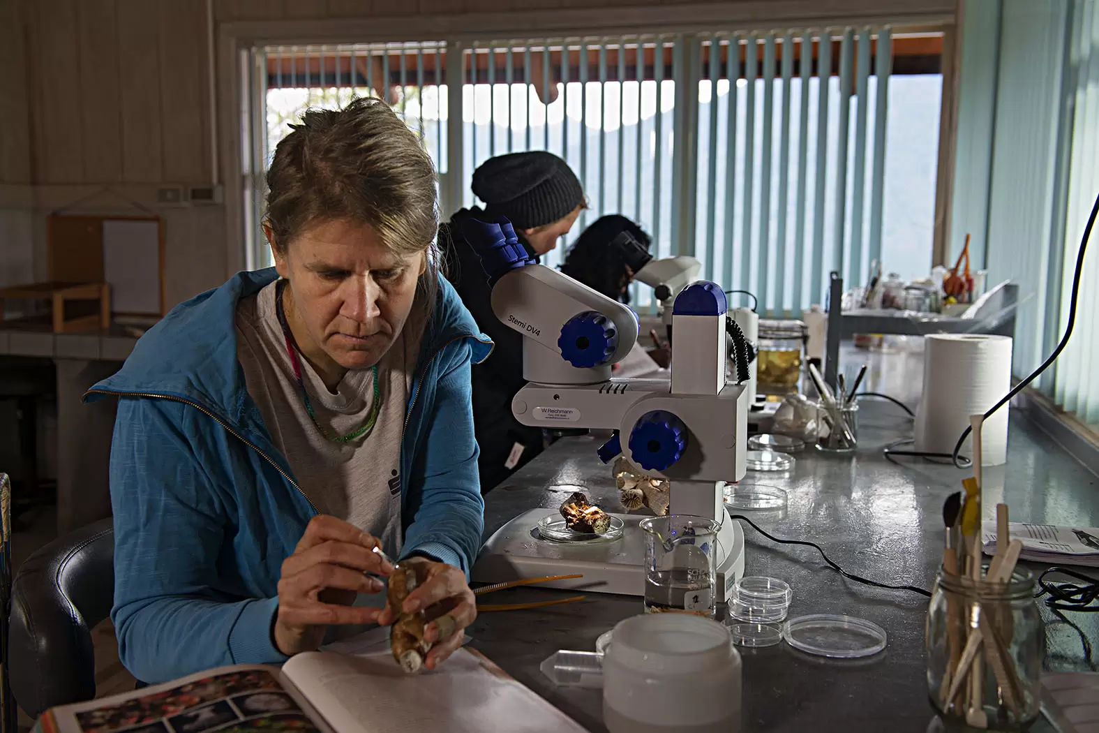 Vreni Häussermann, une vie au service de la biodiversité patagonienne | Vreni Häussermann et son équipe analysent la vie marine dans un laboratoire sec.Crédit : Ambroise Tézenas/Rolex | Françoise Blind-Kempinski - Directrice éditoriale et réalisatrice (journaliste Les Echos)